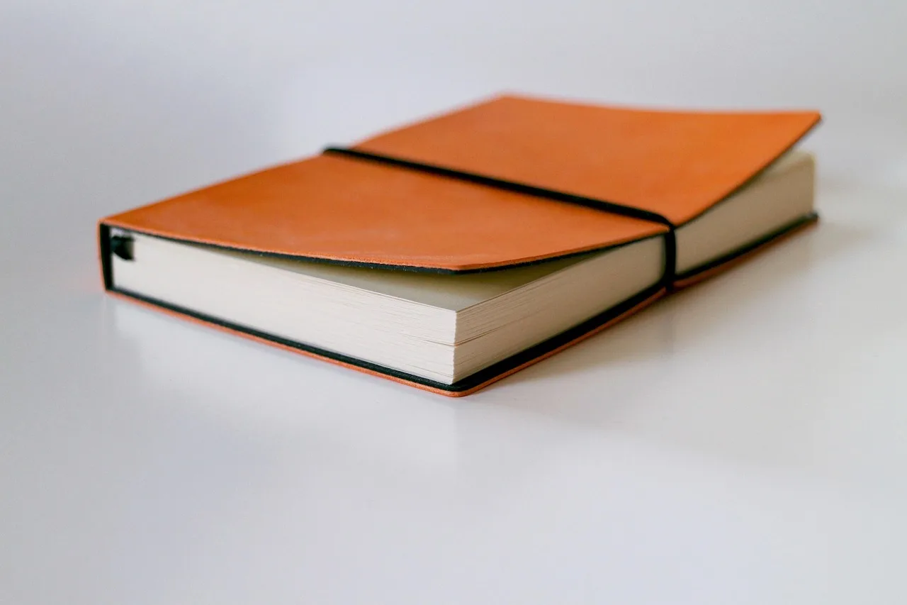 notebook, paper, writing, blank, office, note, business, memo, write, book, school, education, reminder, text, notice, orange, memory, remember, information, words, message, responsibility, forgetful, remind, schedule, alert, deadline, important, notification, working, memo, remember, schedule, schedule, schedule, important, important, important, important, important
