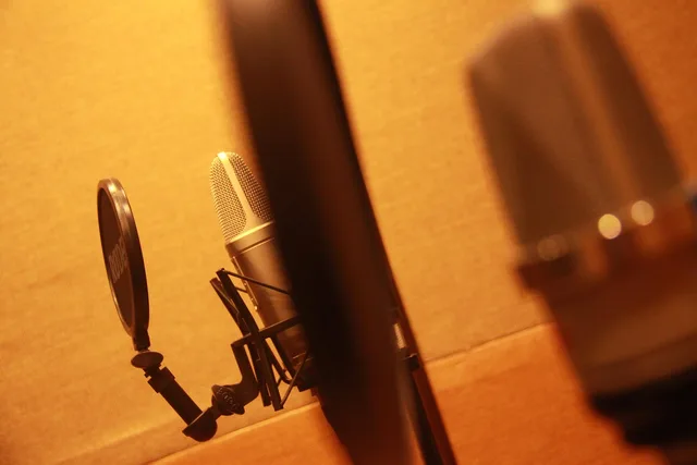 recording, sound proofed, record, recording booth, microphone, brown wall, jute, audio, sound, computer, sound waves, audio wave, media, digital, mixer, orange computer, orange laptop, orange wall, orange digital, orange microphone, orange wave, orange media, orange waves, recording booth, recording booth, recording booth, recording booth, recording booth, sound waves. Digital PR customer interviews explained for agency researchers